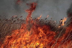 В шести астраханских районах сохраняется чрезвычайная пожароопасность