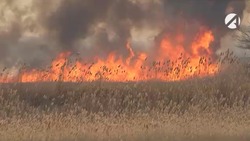 В Ленинском районе Астрахани горит камыш 