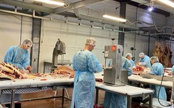 Астраханская компания поставляет мясо в Иран
