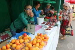 Санврачи советуют астраханцам есть как можно больше персиков, нектаринов и абрикосов