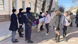 В Астрахани пресекают незаконное катание на лошадях